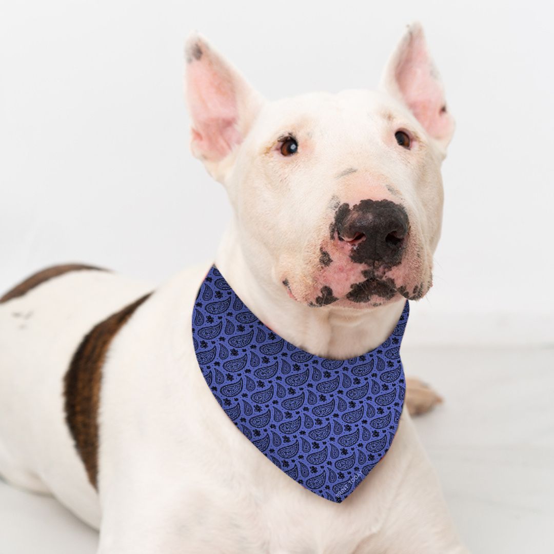 Bandana para perro paisley azul - Imagen 2