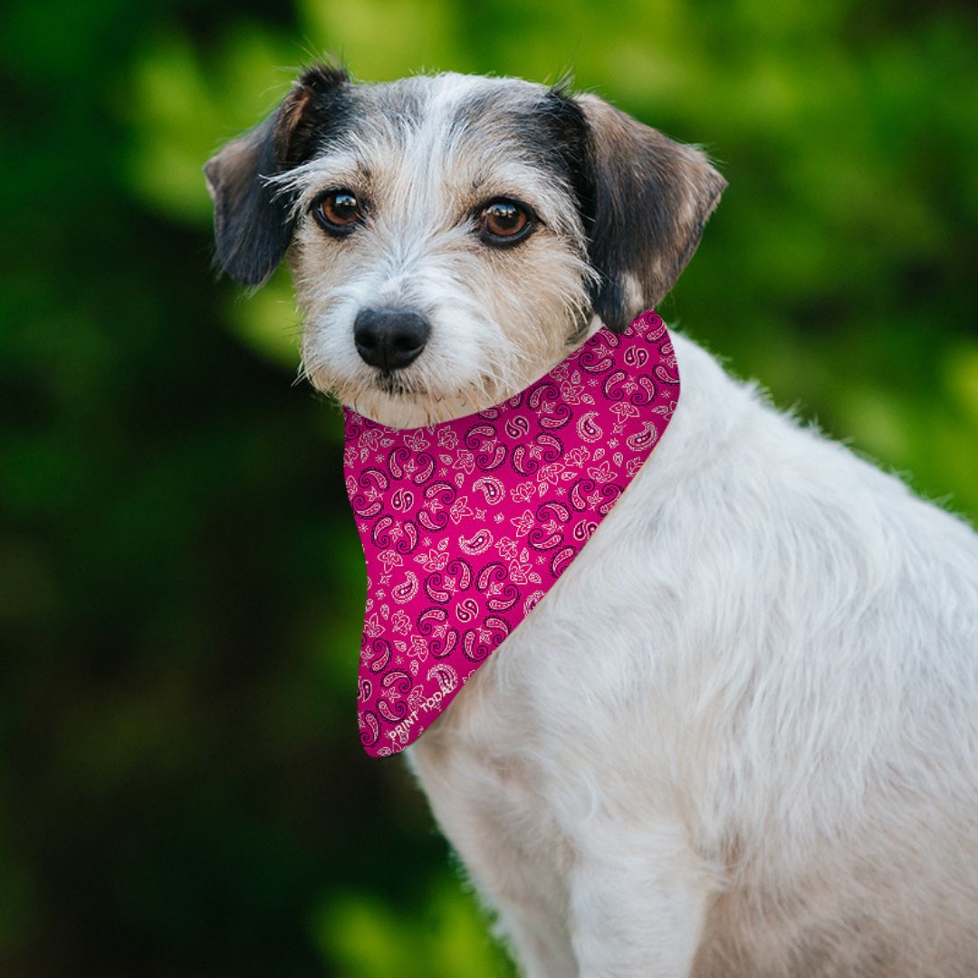 Bandana para perro paisley fuxia - Imagen 2