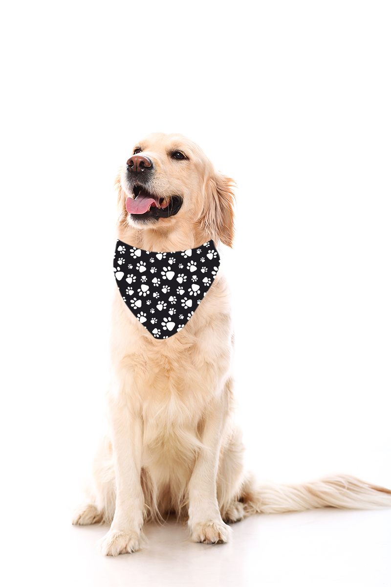 Bandana para perro Huellas Negra - Imagen 2