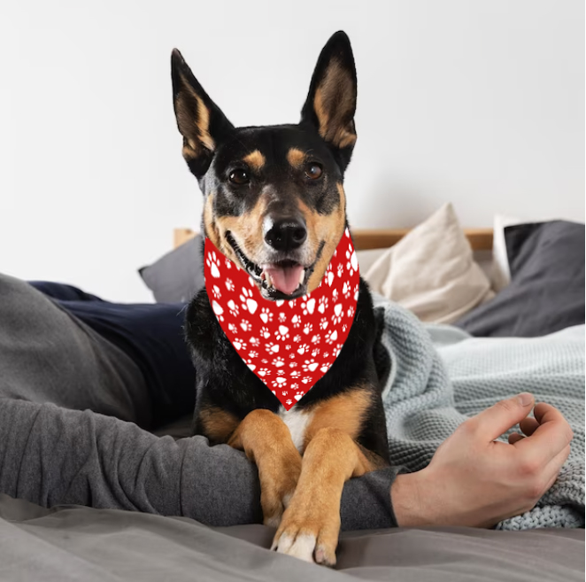 Bandana para perro Huellas Roja - Imagen 2