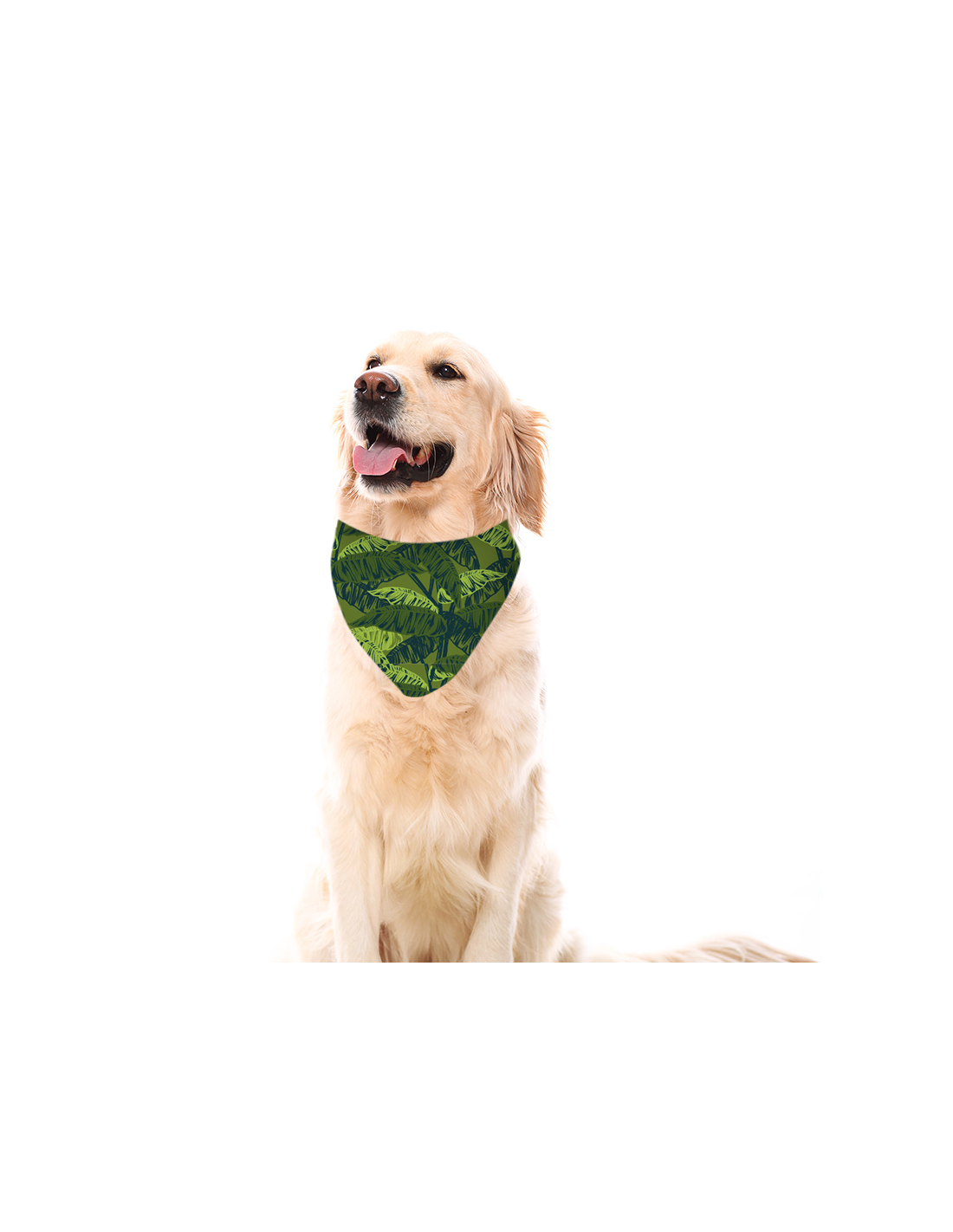 Bandana para perros Estampado Green Forest - Imagen 2