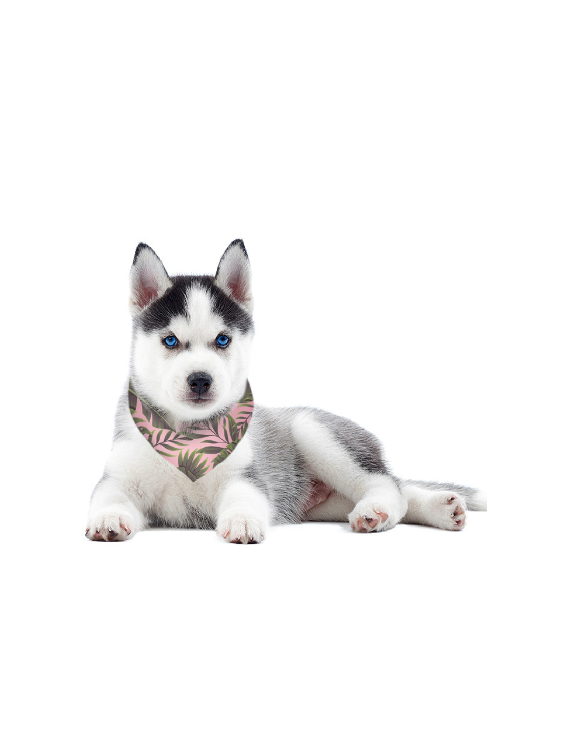 Bandana para perros Estampado Pink Forest - Imagen 2