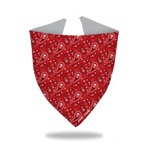 Bandana para perro paisley rojo