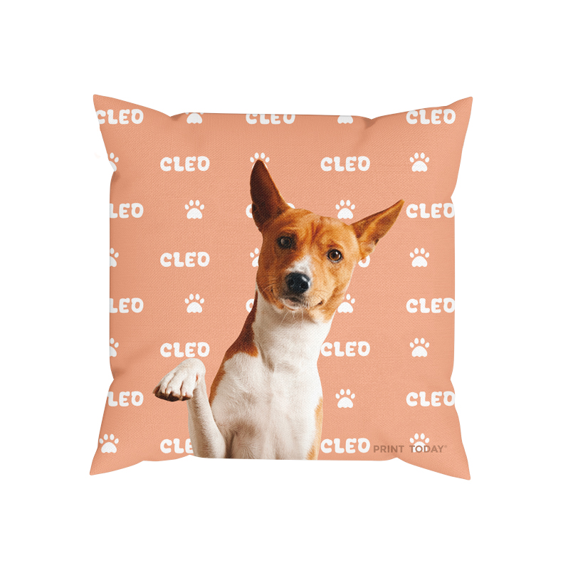 Cojin personalizado perro - Huellitas - Imagen 3